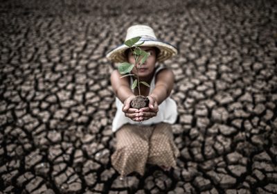 Globális felmelegedés és helyi valóság: A klímaváltozás folyamata, hatásai és a kiút lehetőségei